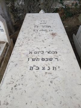 תמונת מצבה