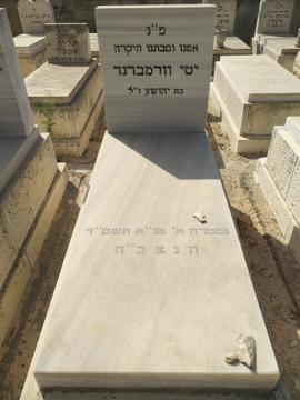 תמונת מצבה