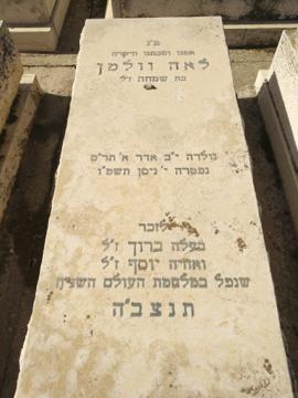 תמונת מצבה
