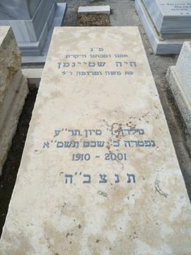 תמונת מצבה
