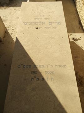 תמונת מצבה