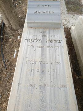 תמונת מצבה