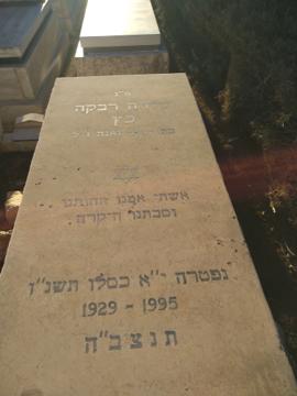 תמונת מצבה
