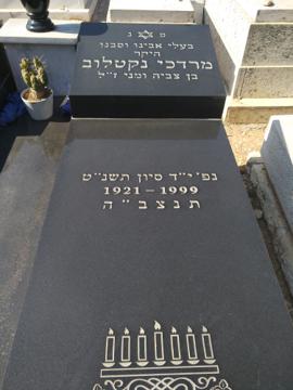 תמונת מצבה
