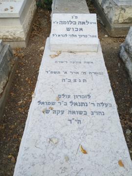 תמונת מצבה