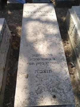 תמונת מצבה