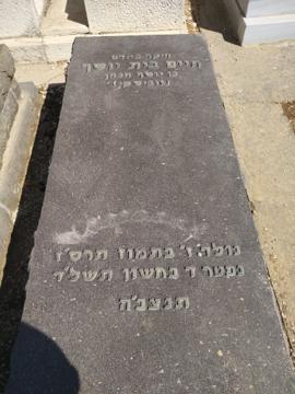 תמונת מצבה