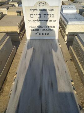 תמונת מצבה