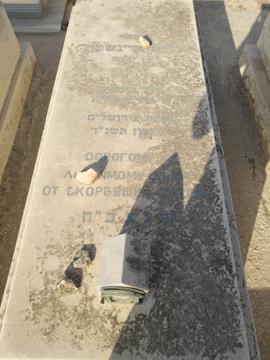 תמונת מצבה