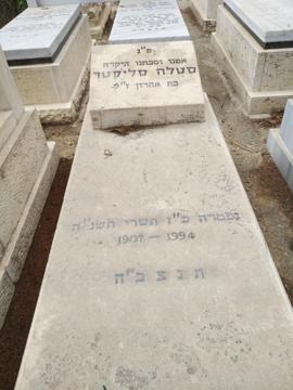 תמונת מצבה