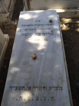 תמונת מצבה