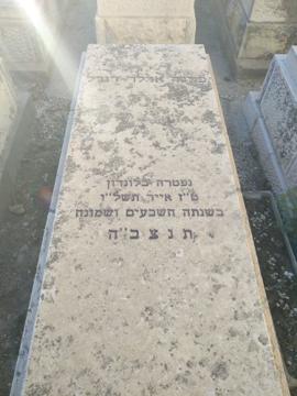 תמונת מצבה