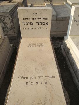תמונת מצבה