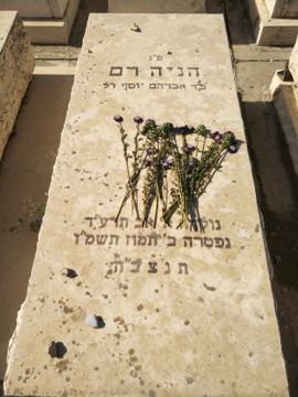 תמונת מצבה