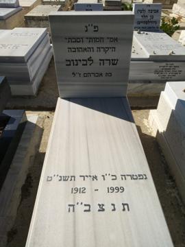 תמונת מצבה