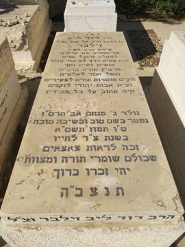 תמונת מצבה