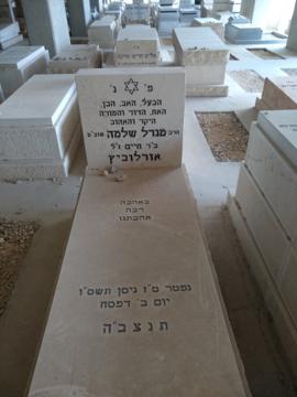 תמונת מצבה