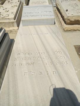 תמונת מצבה
