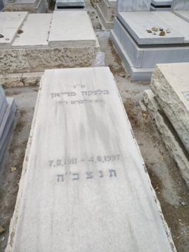 תמונת מצבה