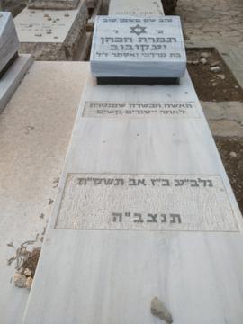 תמונת מצבה