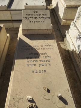 תמונת מצבה