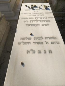 תמונת מצבה