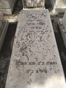 תמונת מצבה