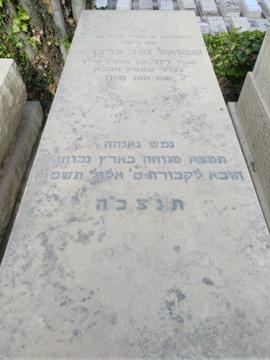 תמונת מצבה