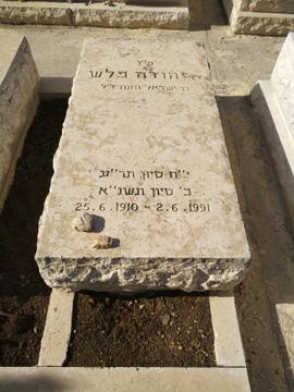 תמונת מצבה