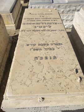 תמונת מצבה