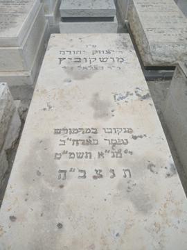 תמונת מצבה