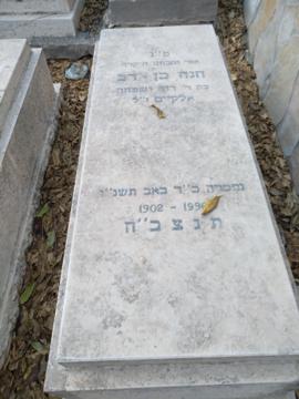 תמונת מצבה
