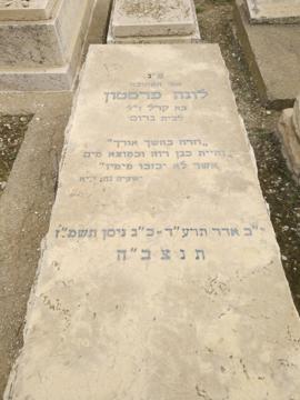 תמונת מצבה