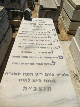תמונת מצבה