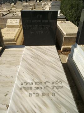 תמונת מצבה