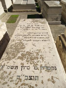 תמונת מצבה