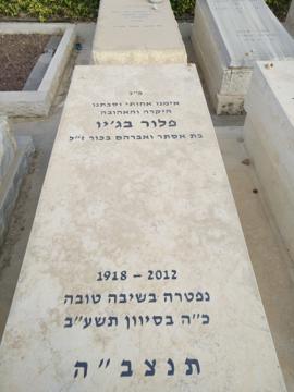 תמונת מצבה