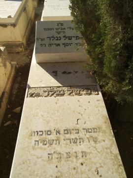 תמונת מצבה