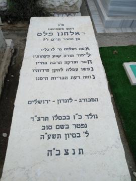 תמונת מצבה