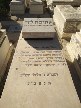 תמונת מצבה