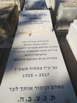 תמונת מצבה