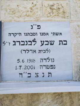 תמונת מצבה