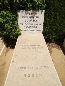 תמונת מצבה