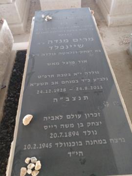 תמונת מצבה