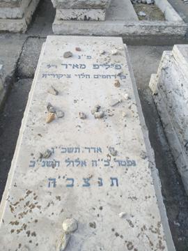 תמונת מצבה