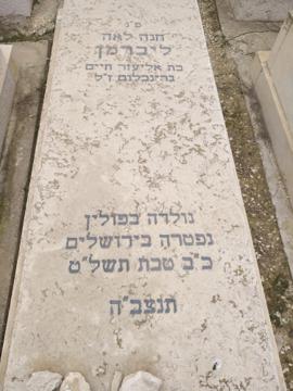 תמונת מצבה