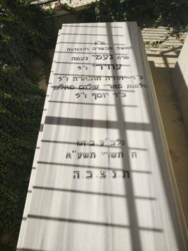 תמונת מצבה