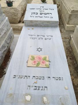 תמונת מצבה