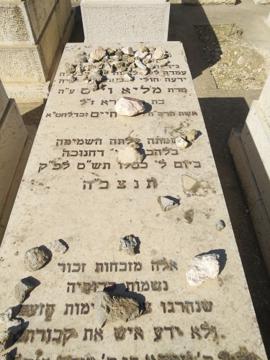 תמונת מצבה