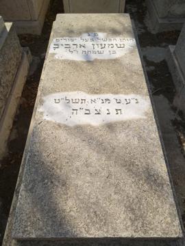 תמונת מצבה